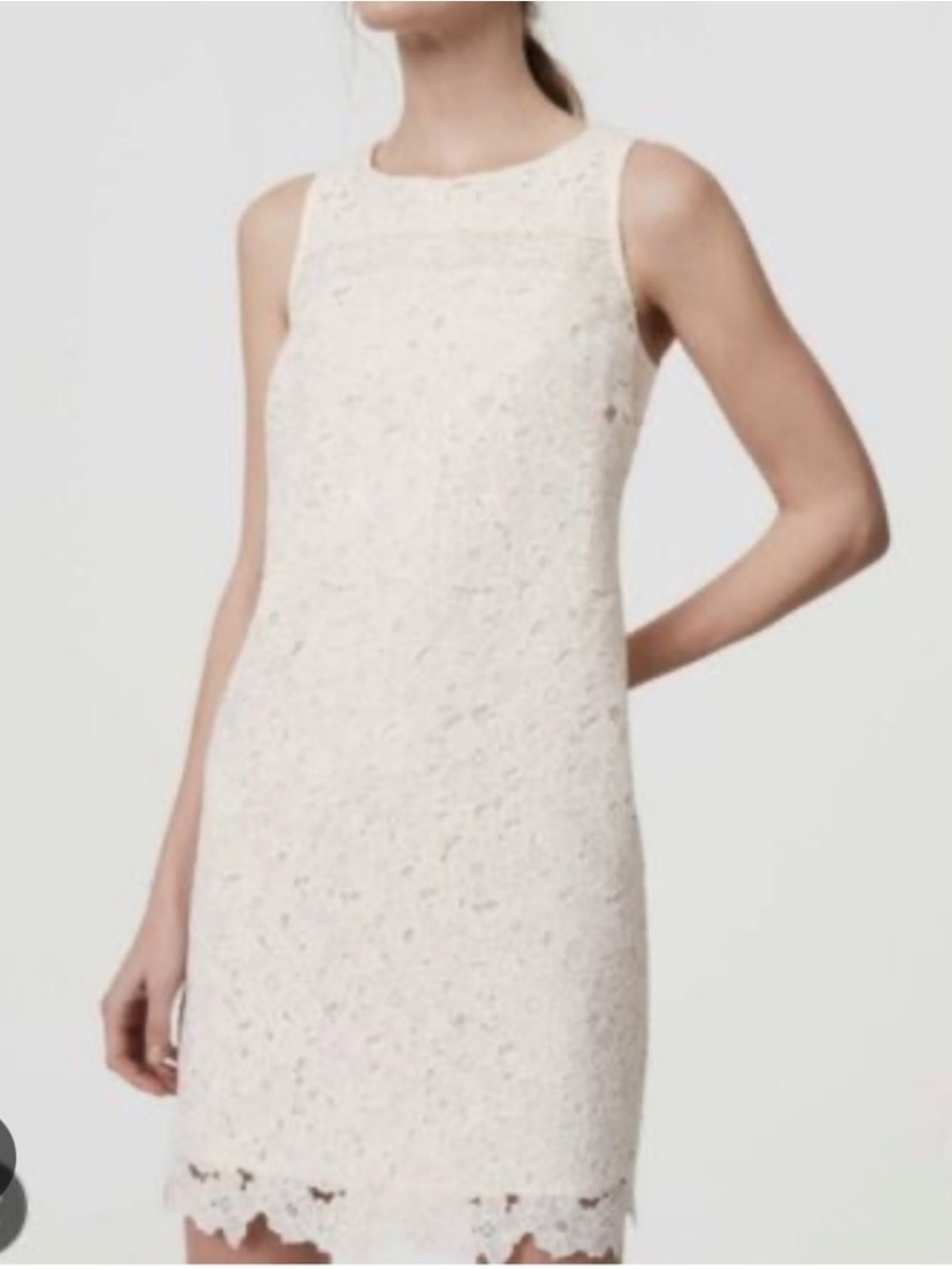 Ann Taylor Sleeveless Ivory Lace Shift Dress